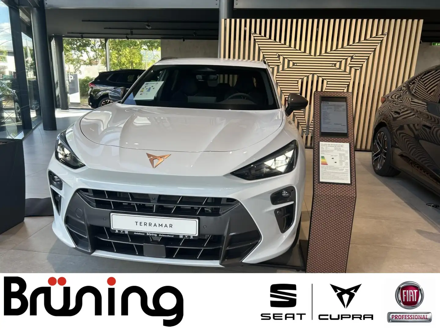 CUPRA Terramar 1.5 e-HYBRID 150 kW (204 PS) Klima Bianco - 1