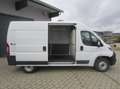 Fiat Ducato 140 L2H2 RS: 3450 mm,PDC,Climatronic Blanc - thumbnail 8