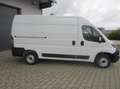 Fiat Ducato 140 L2H2 RS: 3450 mm,PDC,Climatronic Blanc - thumbnail 7