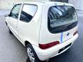 Fiat Seicento 50th  Anniversary Edition - thumbnail 6