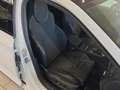 Skoda Superb SPORTLINE TSI ACT DSG Weiß - thumbnail 13