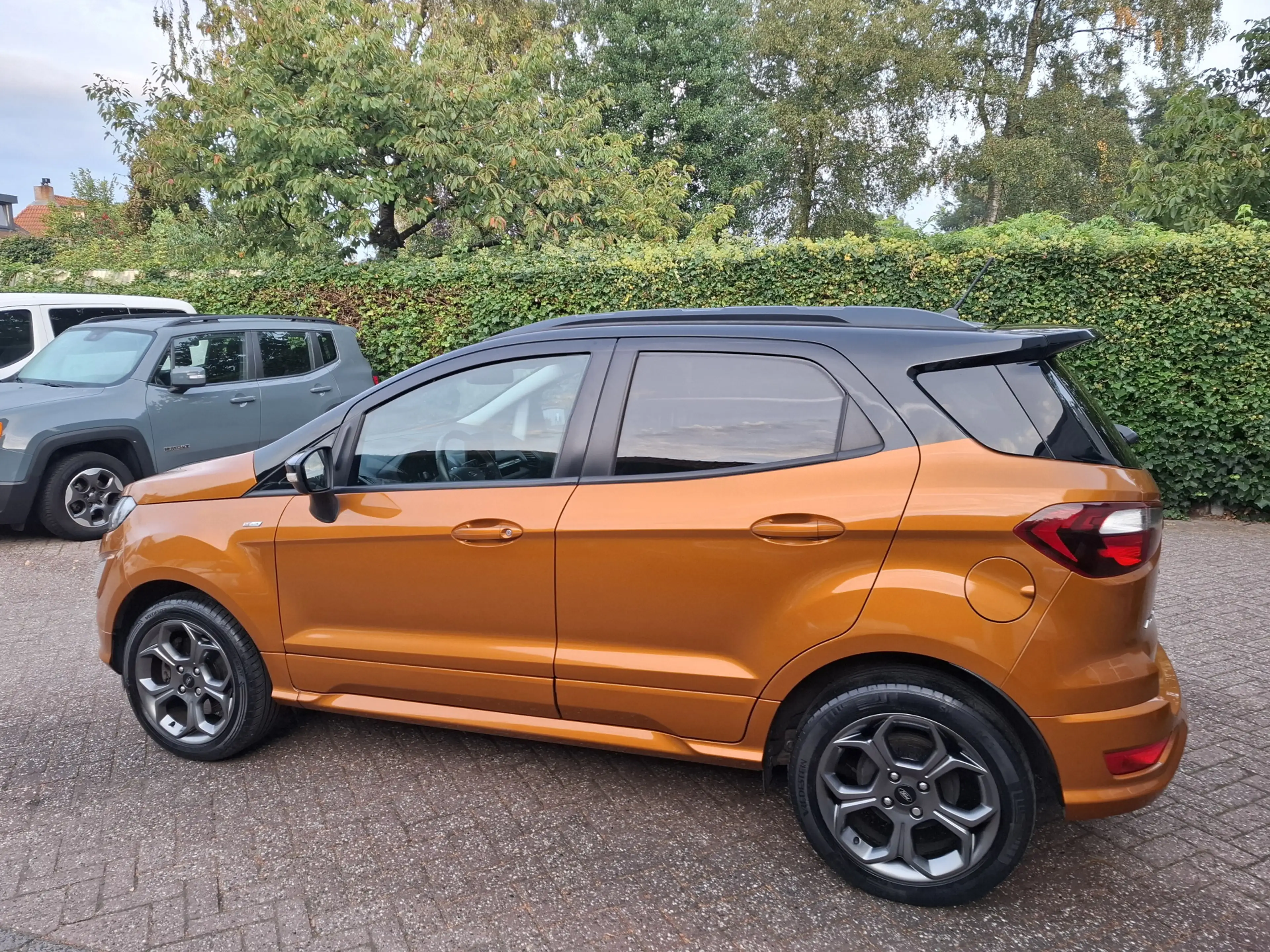 Ford EcoSport 1.0 EcoBoost ST-Line XENON/PDC/NAVI/CRUISE/BLISS 1 — photo 5
