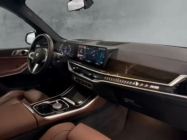 BMW X5 view 12