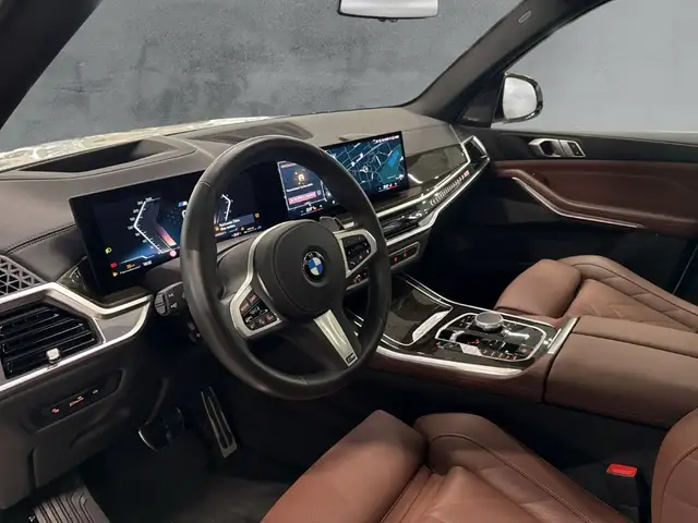 BMW X5 view 9