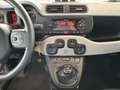 Fiat Panda 1.0 Hybrid City Cross CLIMA/MEDIA/DAB/LED/17.000KM Blanc - thumbnail 27