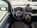 Fiat Panda 1.0 Hybrid City Cross CLIMA/MEDIA/DAB/LED/17.000KM Blanc - thumbnail 2