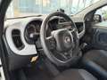 Fiat Panda 1.0 Hybrid City Cross CLIMA/MEDIA/DAB/LED/17.000KM Blanc - thumbnail 34