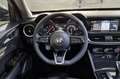 Alfa Romeo Stelvio ALFA ROMEO Stelvio 2.2 Turbodiesel 160 CV AT8 RWD Grijs - thumbnail 16