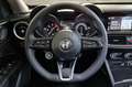 Alfa Romeo Stelvio ALFA ROMEO Stelvio 2.2 Turbodiesel 160 CV AT8 RWD Grijs - thumbnail 17