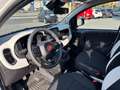 Fiat Panda Pandina 1.0 FireFly MHEV Blanc - thumbnail 8