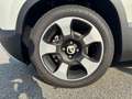 Fiat Panda Pandina 1.0 FireFly MHEV Blanc - thumbnail 6