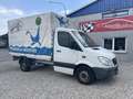 Mercedes-Benz Sprinter 313 CDI Pritsche LKW Plane Klima Weiß - thumbnail 4