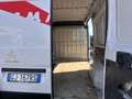 Citroen Jumper Blanco - thumbnail 15