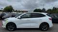 Ford Kuga 2.0 ST-Line X  | AUTOMATIK | LED |  NAVI Bianco - thumbnail 4