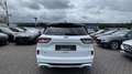 Ford Kuga 2.0 ST-Line X  | AUTOMATIK | LED |  NAVI Bianco - thumbnail 6