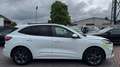 Ford Kuga 2.0 ST-Line X  | AUTOMATIK | LED |  NAVI Bianco - thumbnail 5