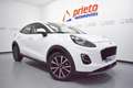 Ford Puma 1.5 Ecoblue Titanium 120 Blanco - thumbnail 48