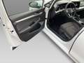 Volkswagen Golf 1.5TSI Life AHK Navi ACC PDC Climatr Sitzh Weiß - thumbnail 14