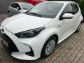 Toyota Yaris hybrid 1.5 dynamic Wit - thumbnail 3