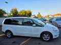Ford Galaxy Trend 1,6 TDCi Start & Stop/7-Sitze/Neues Pickerl Blanc - thumbnail 8