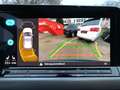 Volkswagen Golf 1.5eTSI DSG Active PANO+MATRIX+HEADUP+++ Grau - thumbnail 19
