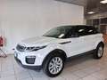 Land Rover Range Rover Evoque 2.0 TD4 150 CV 5p Business Ed. Premium SE Weiß - thumbnail 3