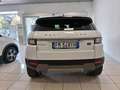 Land Rover Range Rover Evoque 2.0 TD4 150 CV 5p Business Ed. Premium SE Weiß - thumbnail 5