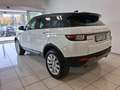 Land Rover Range Rover Evoque 2.0 TD4 150 CV 5p Business Ed. Premium SE Weiß - thumbnail 4