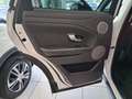 Land Rover Range Rover Evoque 2.0 TD4 150 CV 5p Business Ed. Premium SE Weiß - thumbnail 19