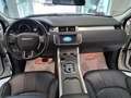 Land Rover Range Rover Evoque 2.0 TD4 150 CV 5p Business Ed. Premium SE Weiß - thumbnail 16