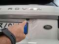 Land Rover Range Rover Evoque 2.0 TD4 150 CV 5p Business Ed. Premium SE Weiß - thumbnail 7