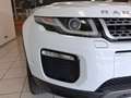 Land Rover Range Rover Evoque 2.0 TD4 150 CV 5p Business Ed. Premium SE Weiß - thumbnail 10