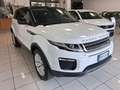 Land Rover Range Rover Evoque 2.0 TD4 150 CV 5p Business Ed. Premium SE Weiß - thumbnail 9