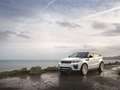 Land Rover Range Rover Evoque 2.0 TD4 150 CV 5p Business Ed. Premium SE Blanco - thumbnail 1