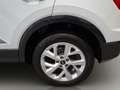 Audi Q2 Advanced 35 TFSI 110(150) kW(PS) Schaltgetrie Weiß - thumbnail 21