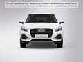 Audi Q2 Advanced 35 TFSI 110(150) kW(PS) Schaltgetrie Blanc - thumbnail 5