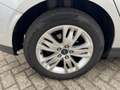 Ford Focus 1.0 EcoBoost Titanium Airco,1e Eigenaar, Grijs - thumbnail 7