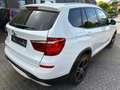 BMW X3 X3 Diesel xDrive20d xLine, HUD, 1. Hand, Checkheft Weiß - thumbnail 4