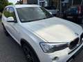BMW X3 X3 Diesel xDrive20d xLine, HUD, 1. Hand, Checkheft Weiß - thumbnail 3