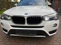 BMW X3 X3 xDrive20d xLine, HUD, 1. Hand, Scheckheft Weiß - thumbnail 2