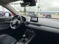 Mazda CX-3 Sports-Line HeadUP LED Technik-Paket AC/AA Blanc - thumbnail 18