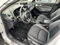 Mazda CX-3 Sports-Line HeadUP LED Technik-Paket AC/AA Blanc - thumbnail 10