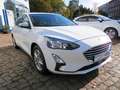 Ford Focus Lim. C&C*LED*RKamera*Navi*Winterp.*GJR* Weiß - thumbnail 2