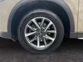 Mazda CX-5 Newground 2.2 SKYACTIV-D 150 360° Kamera Grün - thumbnail 15