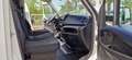 Iveco Daily 35C18 - 3.0 MJT PASSO 3450 HI MATIC-2019 Blanco - thumbnail 16