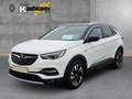 Opel Grandland INNOVATION Navi Leder LED Dyn. Kurvenlicht El. Hec Bianco - thumbnail 1