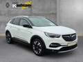 Opel Grandland INNOVATION Navi Leder LED Dyn. Kurvenlicht El. Hec Bianco - thumbnail 2