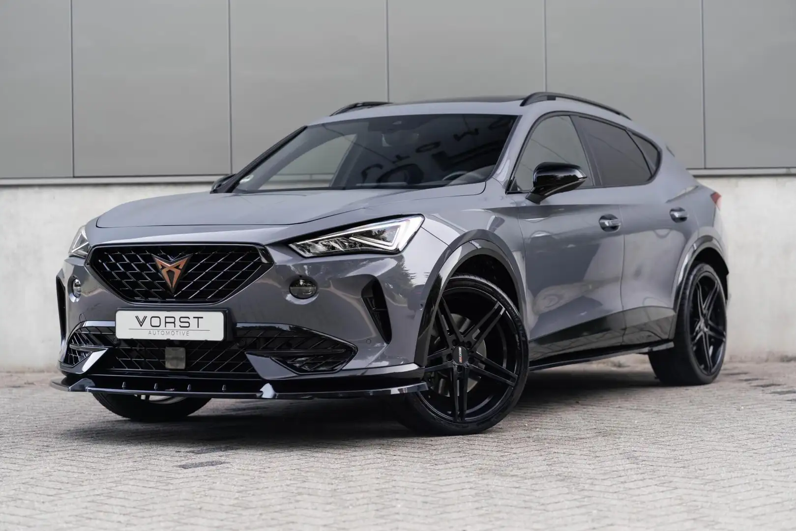 CUPRA Formentor 2.0 TSI 4DRIVE Beats Pano Camera Leer Motec Gris - 1
