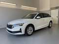 Skoda Octavia Combi Selection 150PS TDI DSG AHK+Kamera+GV4+AC... Weiß - thumbnail 1