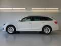 Skoda Octavia Combi Selection 150PS TDI DSG AHK+Kamera+GV4+AC... Weiß - thumbnail 3